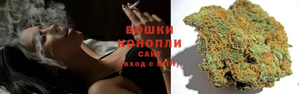 крисы Володарск