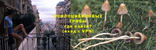 крисы Володарск