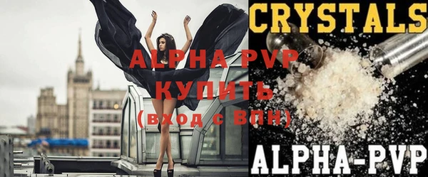 крисы Володарск