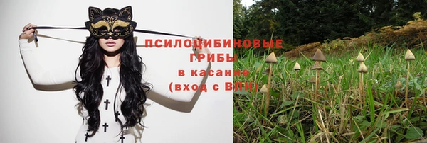 твердый Волоколамск