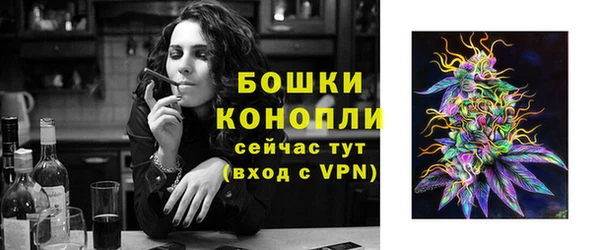 крисы Володарск