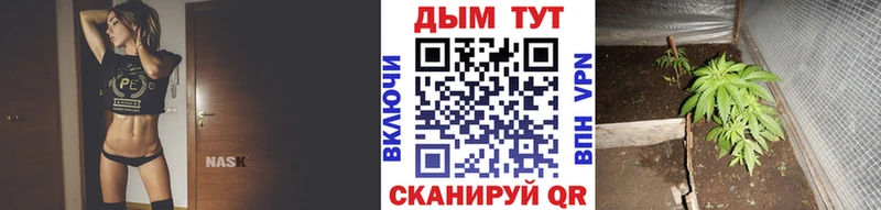 Шишки марихуана индика Лянтор